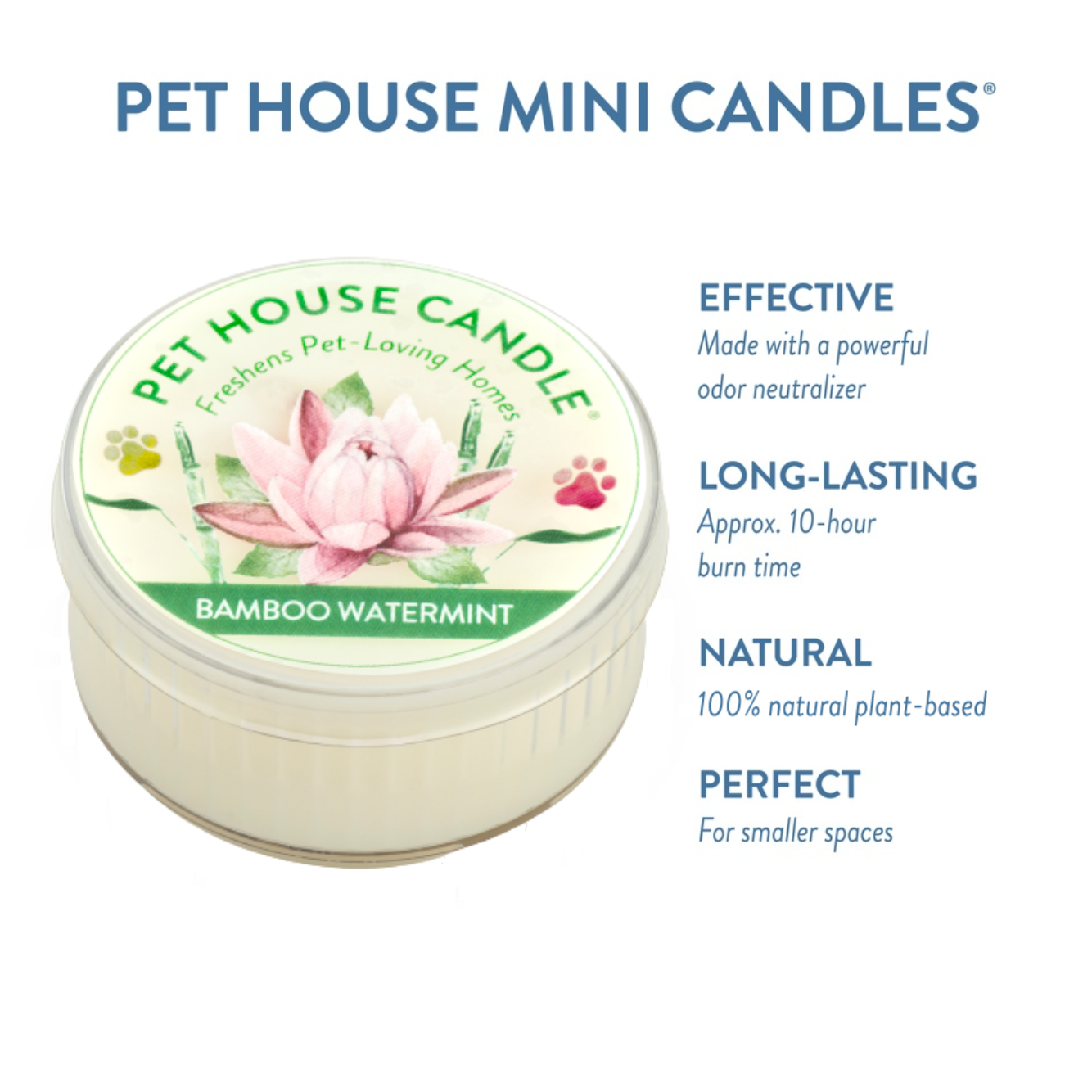Pet House Bamboo Watermint Plant-Based Soy Wax Mini Candle 1.5 oz