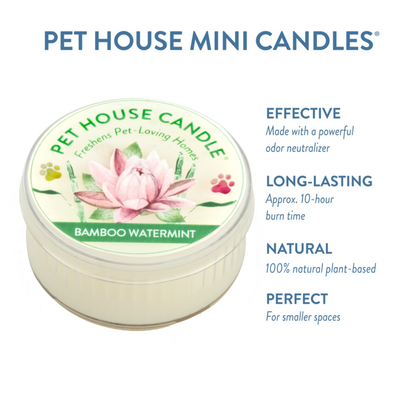 Pet House Bamboo Watermint Plant-Based Soy Wax Mini Candle 1.5 oz