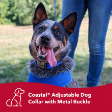 Load image into Gallery viewer, Coastal Adjustable Dog Collar with Metal Buckle Red
