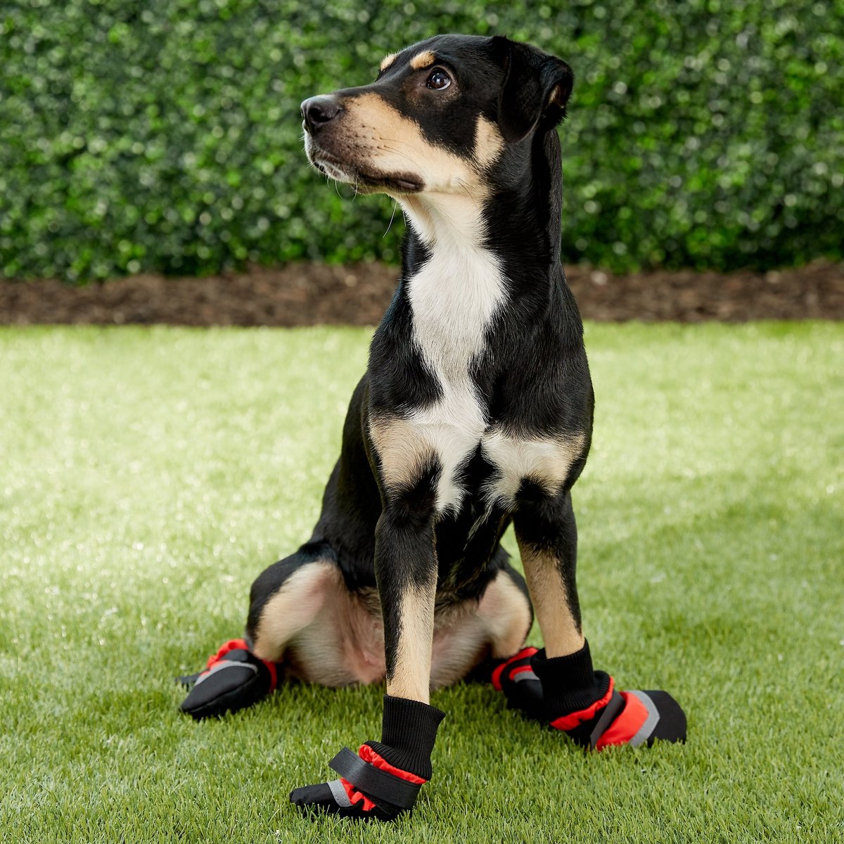 Fashion Pet Extreme All Weather Boots