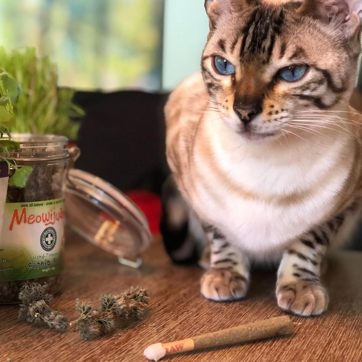 Meowijuana King Sized Catnip Filled Joints 6 Count