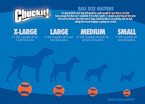 Chuckit! Amphibious Mega Ball That Floats for Medium and Large Dogs