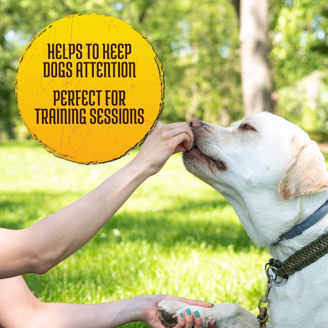 Inception Chicken Flavored Soft & Chewy Dog Training Treats, 4 oz.