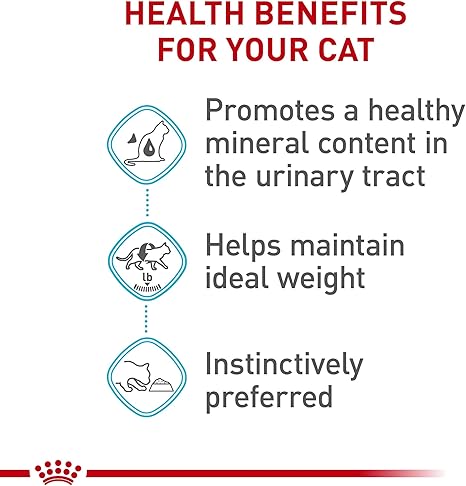 Royal Canin Feline Care Nutrition Urinary Care Adult Thin Slices in Gravy Wet Cat Food