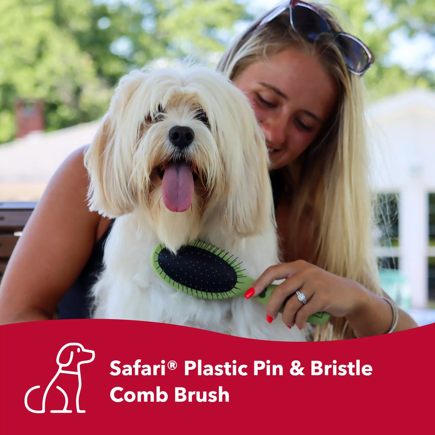 Safari Pin and Bristle Combo Dog Brush, Medium