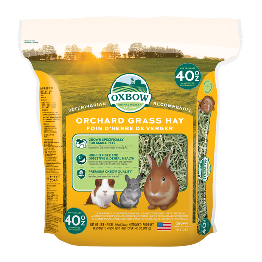 Oxbow Orchard Grass Hay