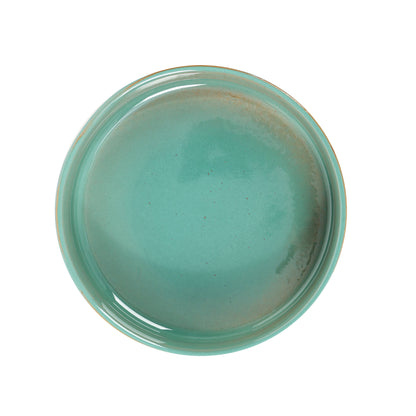 Skandi Pet Bowl: Green / Large