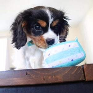 Li'l Pals by Coastal Birthday Combo - Bandana, Bowtie & Dog Toy