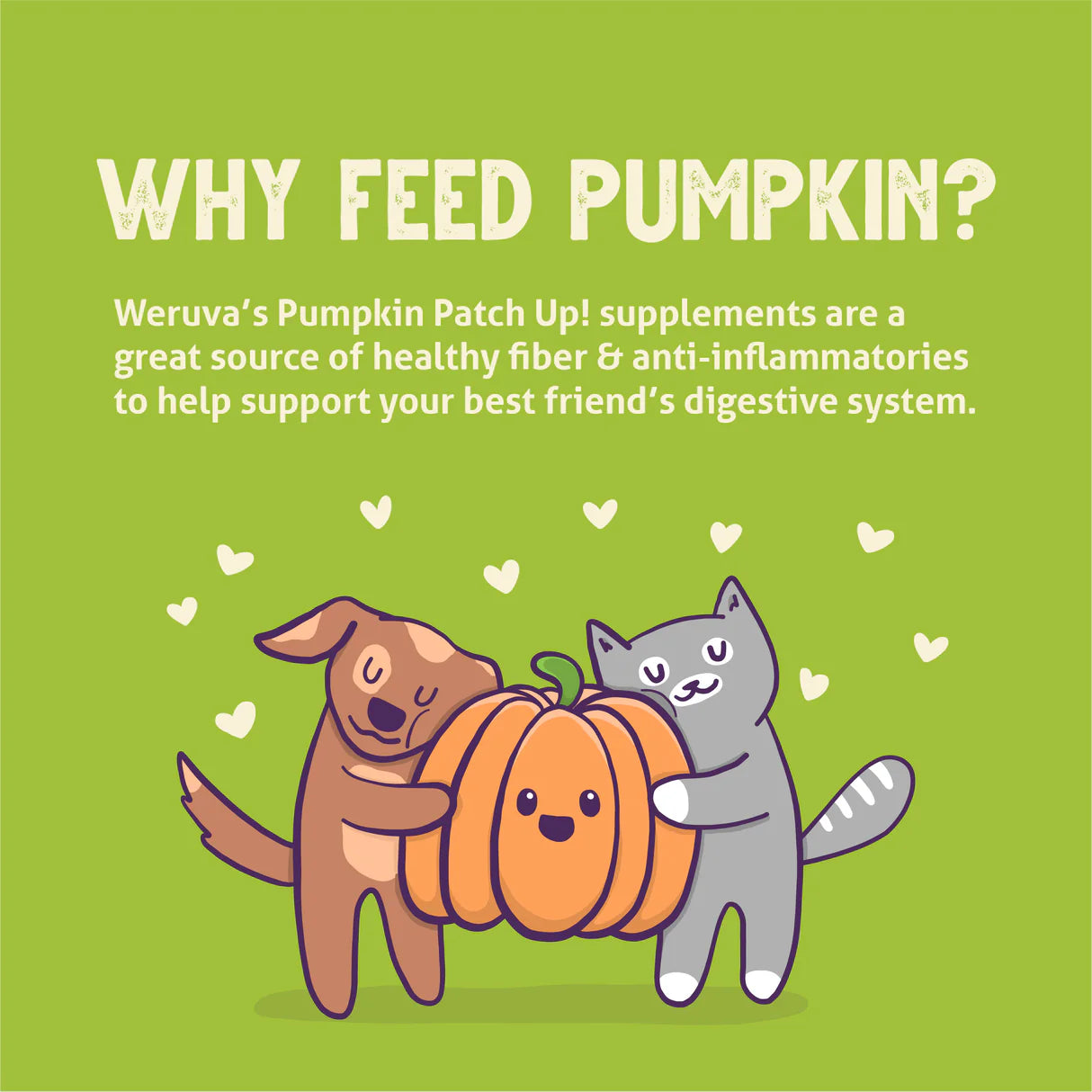 Weruva Pumpkin Patch Up! Pumpkin, Coconut Oil & Flaxseeds Dog & Cat Wet Food Supplement