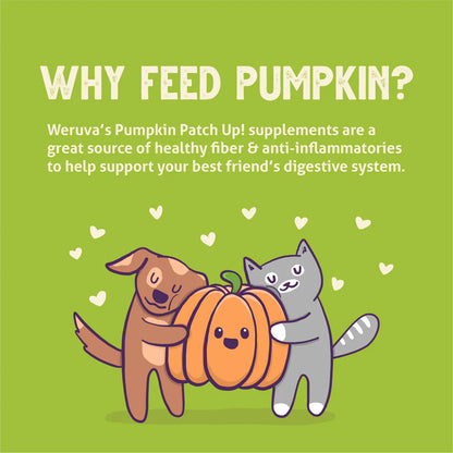 Weruva Pumpkin Patch Up! Pumpkin, Coconut Oil & Flaxseeds Dog & Cat Wet Food Supplement