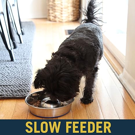 OurPets DuraPet Slow Feed Premium Stainless Steel Dog Bowl, Silver