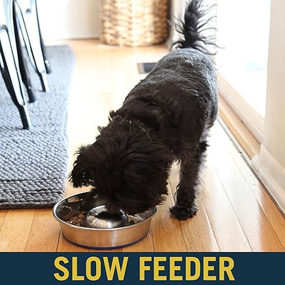 OurPets DuraPet Slow Feed Premium Stainless Steel Dog Bowl, Silver