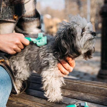 Coastal Li'l Pals Self-Cleaning Slicker