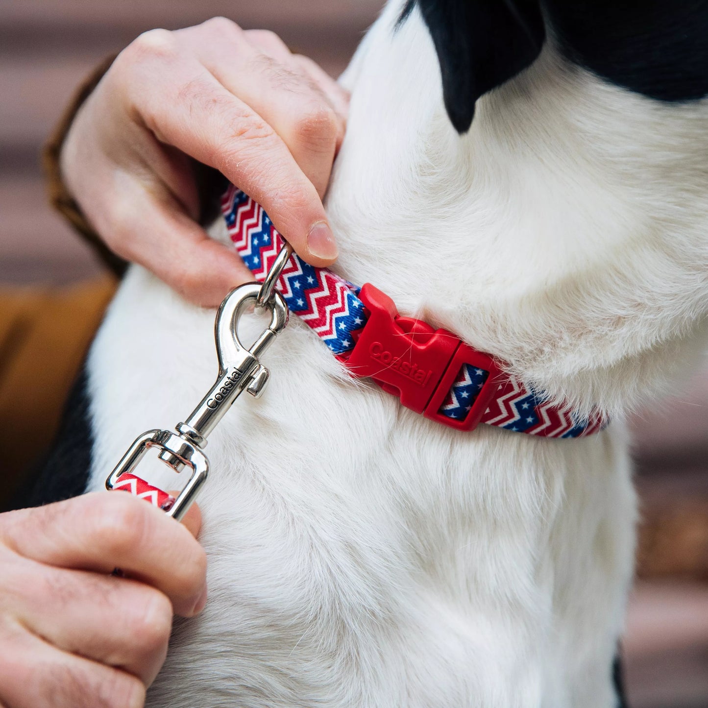 Coastal Styles Dog Leash Black Bones