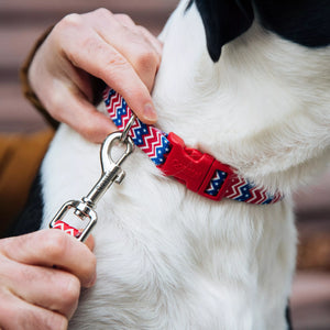 Coastal Styles Dog Leash, Pink Dots