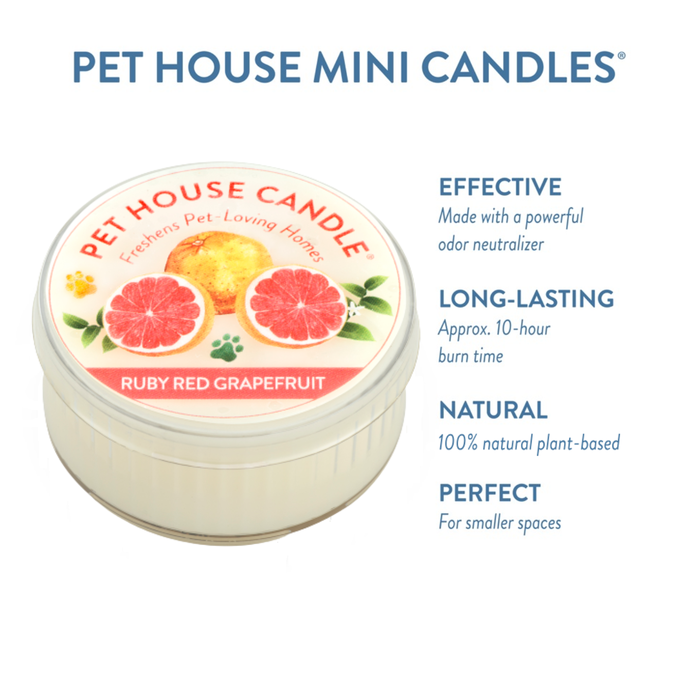 Pet House Ruby Red Grapefruit Plant-Based Soy Wax Mini Candle 1.5 oz