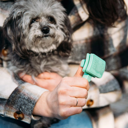 Coastal Li'l Pals Self-Cleaning Slicker