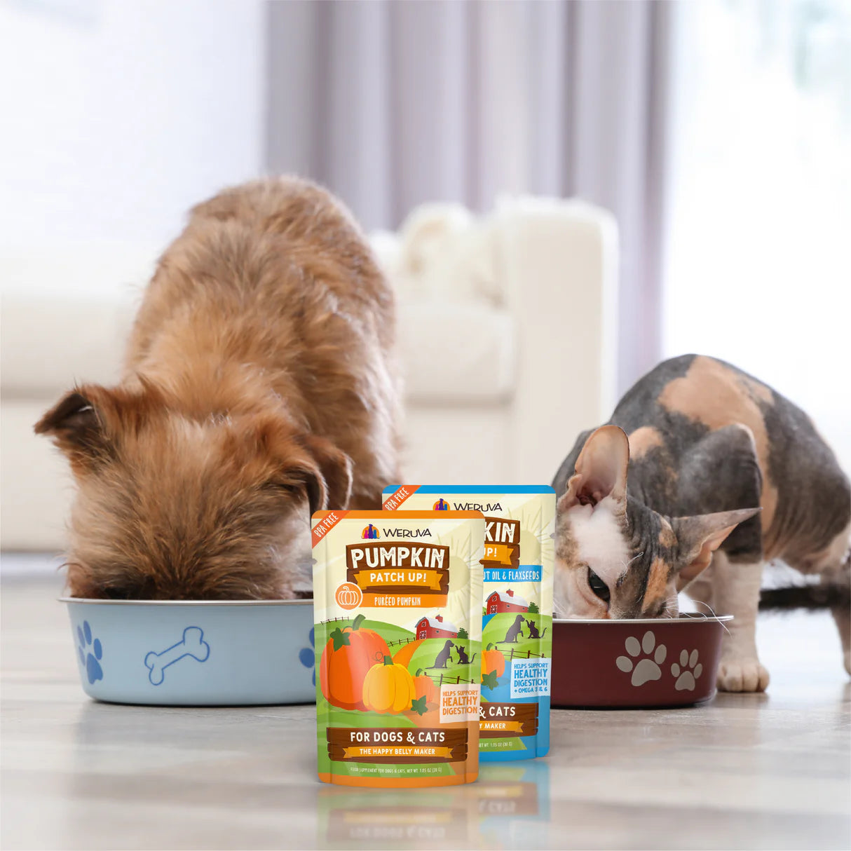 Weruva Pumpkin Patch Up! Dog & Cat Food Supplement Pouches