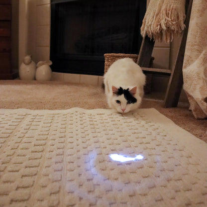 Turbo LED Pointer Fish Light Cat Toy