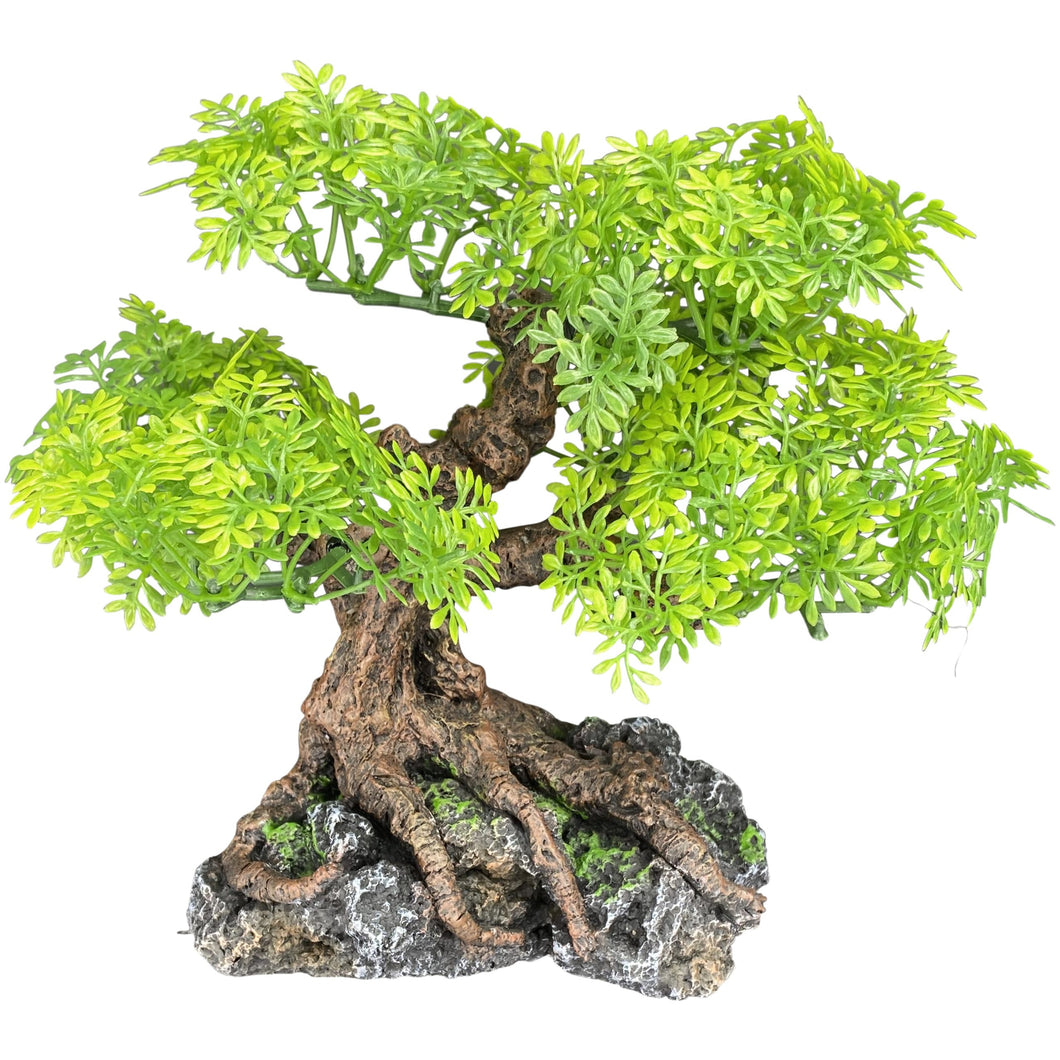 Komodo Bonsai Tree Reptile & Fish Tank Ornament, Small