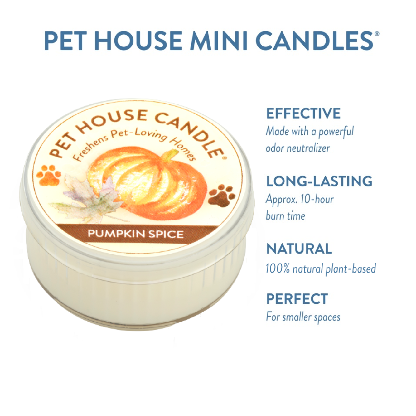 Pumpkin Spice Mini Candle 1.5 oz