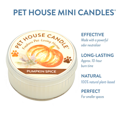 Pumpkin Spice Mini Candle 1.5 oz