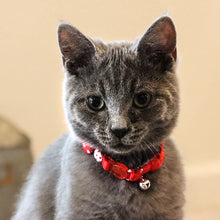 Load image into Gallery viewer, Li&#39;l Pals Kitten Embellishment Collar, Red Buttons
