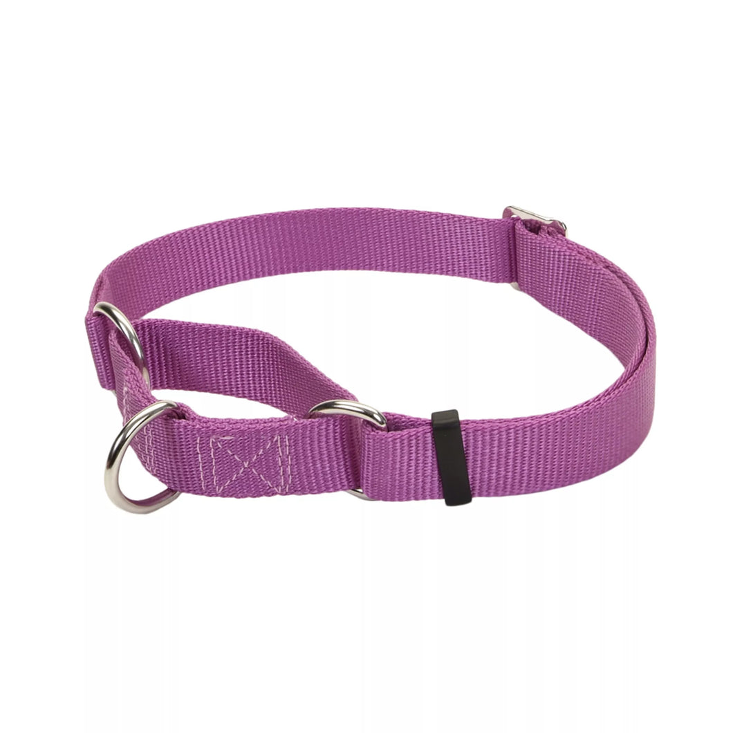 No! Slip Martingale Adjustable Dog Collar, Orchid