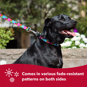 Coastal Styles Adjustable Dog Collar, Chevrons & Stars