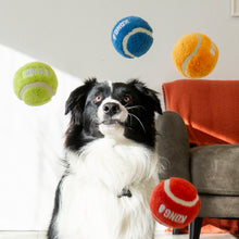 Load image into Gallery viewer, KONG Sport Softies Ball Dog Toy, Medium
