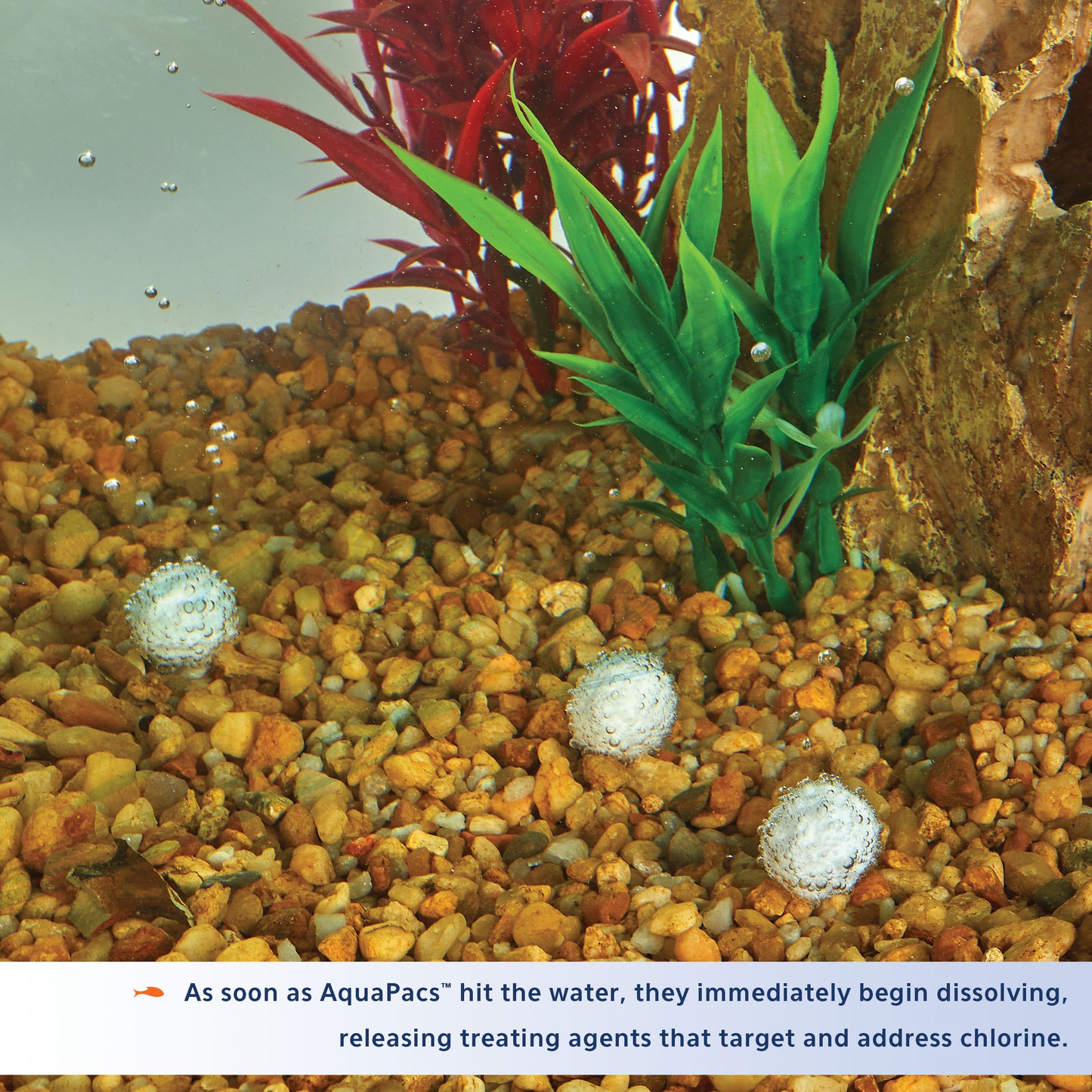 Aqueon AquaPacs Aquarium Water Conditioner