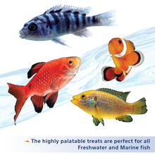 Load image into Gallery viewer, Aqueon Stick&#39;ems Freeze-Dried High Protein Treat Fish Food .42 oz
