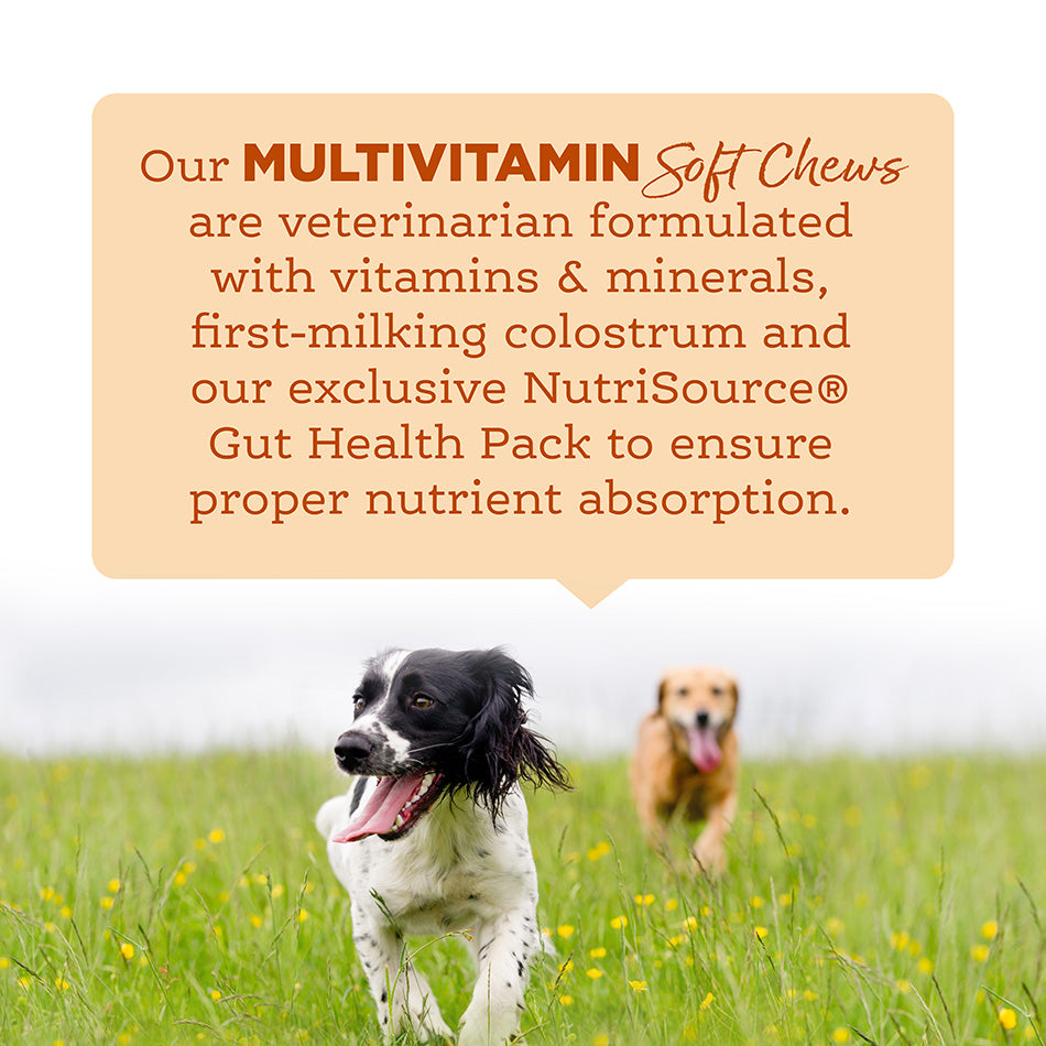 Nutrisource AmpliFull Multivitamin Soft Chews Supplement Turkey Flavor, 12.5oz