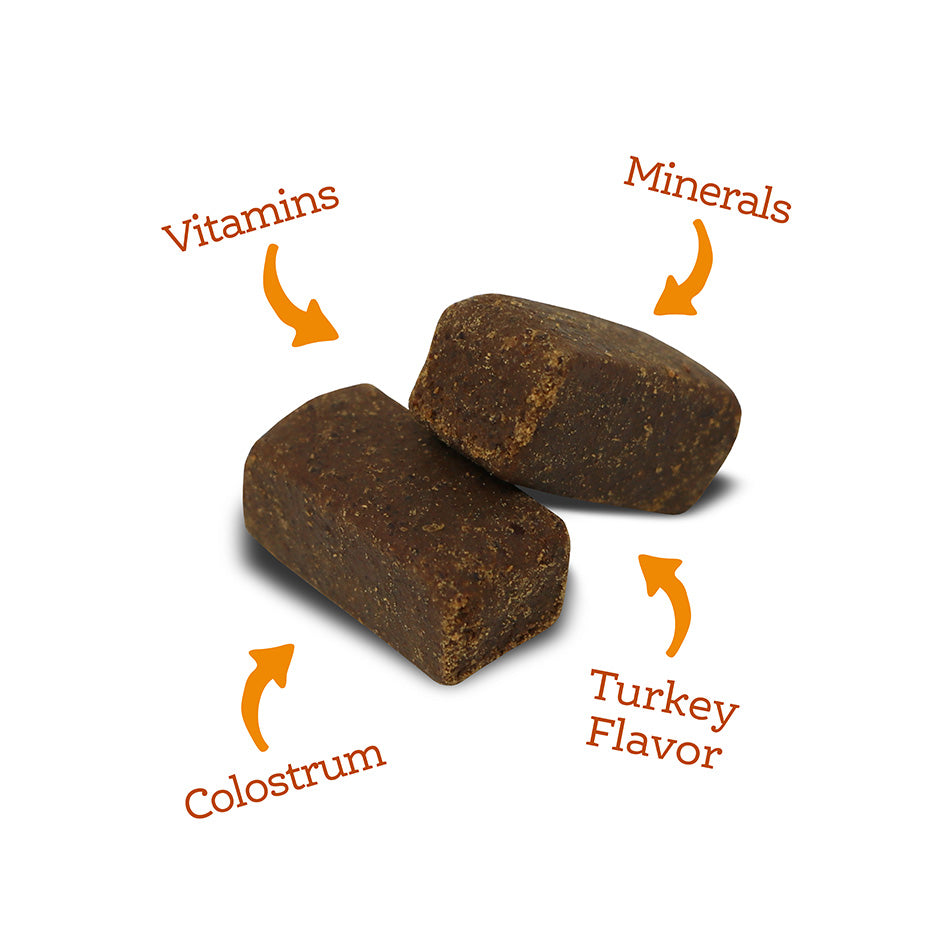 Nutrisource AmpliFull Multivitamin Soft Chews Supplement Turkey Flavor, 12.5oz