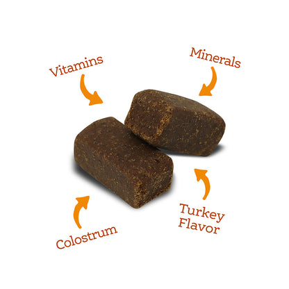 Nutrisource AmpliFull Multivitamin Soft Chews Supplement Turkey Flavor, 12.5oz