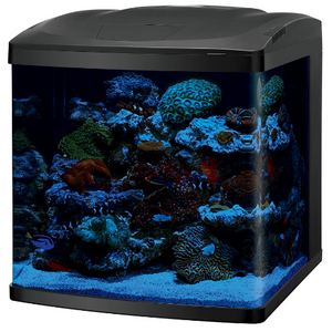 Coralife LED BioCube Aquarium Kit, 32 Gallon