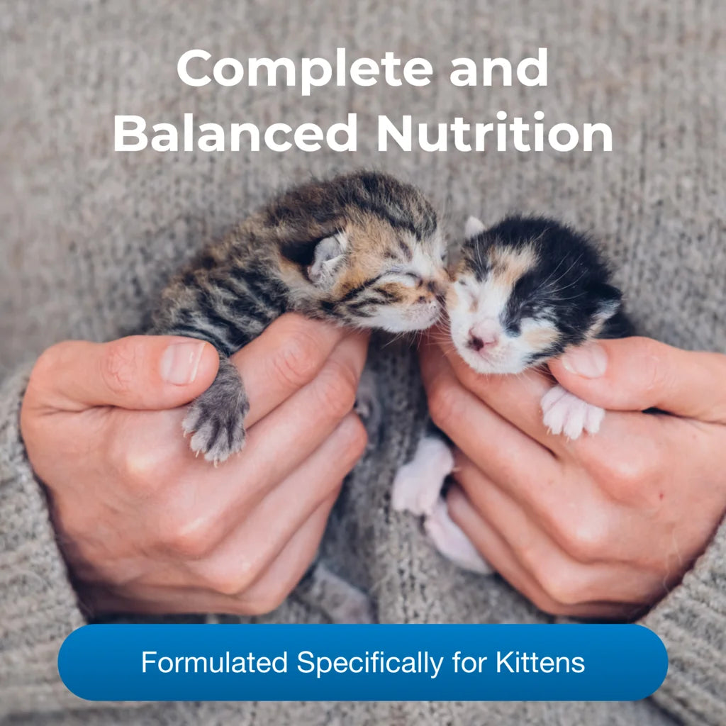 PetAg KMR Liquid Milk Supplement for Kittens, 16 oz