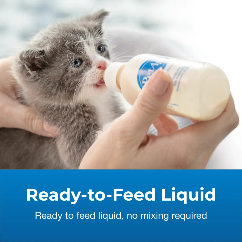 PetAg KMR Liquid Milk Supplement for Kittens, 16 oz