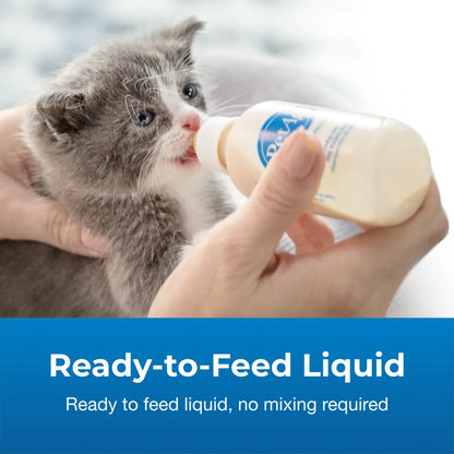 PetAg KMR Liquid Milk Supplement for Kittens, 16 oz