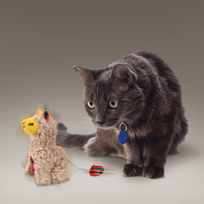 Kong Softies Buzzy Llama Cat Toy
