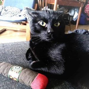 Meowijuana Catnip Cigar Cat Toy