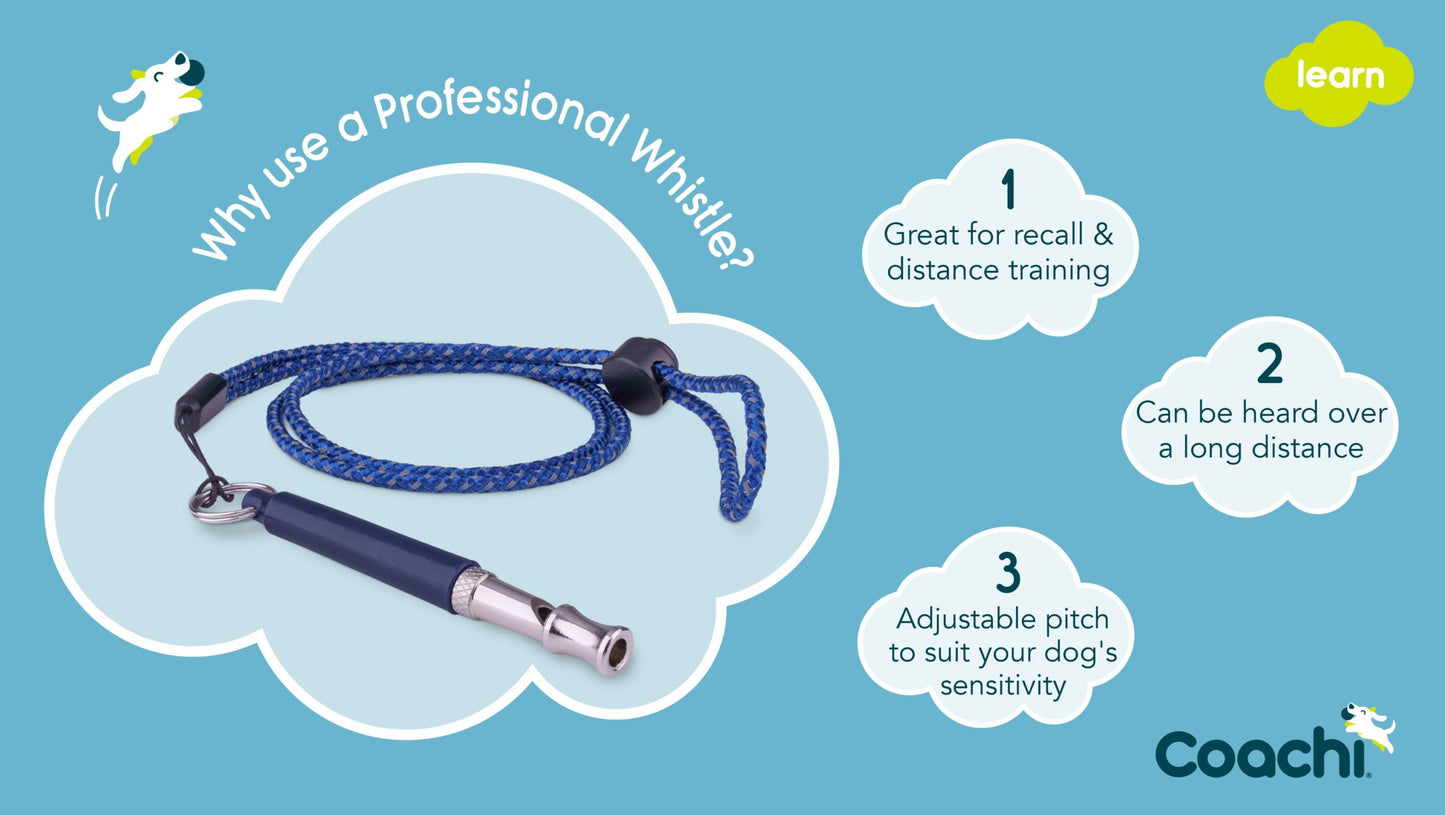 Coachi Professional Dog Training Whistle, Navy