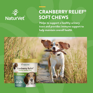 NaturVet Cranberry Relief Plus Echinacea Soft Chews Urinary Supplement for Dogs