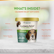 Load image into Gallery viewer, NaturVet Cranberry Relief Plus Echinacea Soft Chews Urinary Supplement for Dogs
