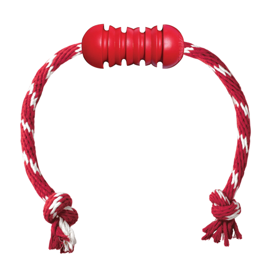 KONG Dental with Rope Dog Toy