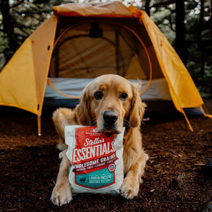 Stella & Chewy's Essentials Grass-Fed Lamb & Ancient Grains Dry Dog Food