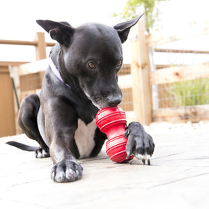 KONG Dental Dog Toy