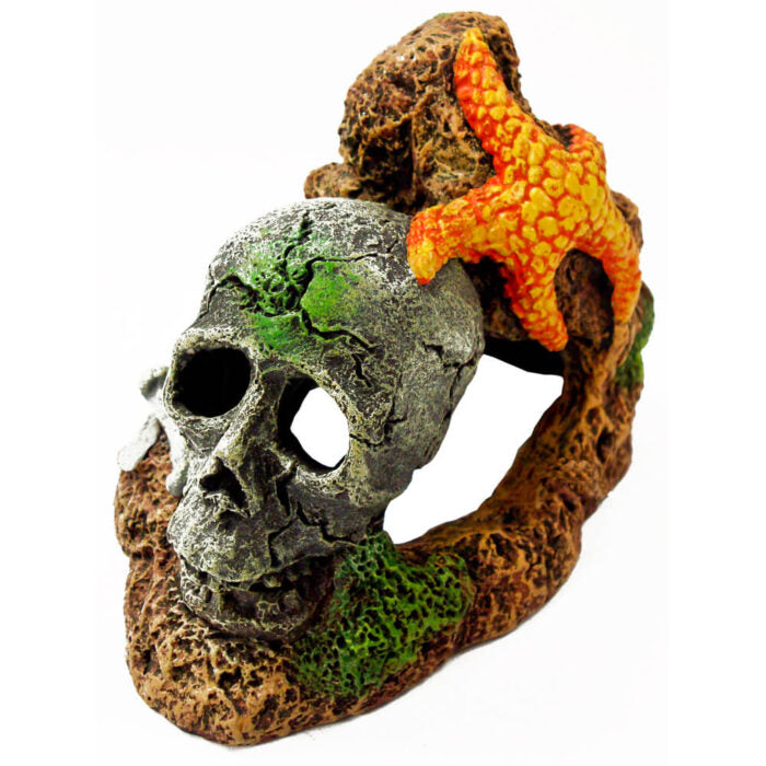 Blue Ribbon Exotic Environments Skull with Starfish Aquarium Ornament