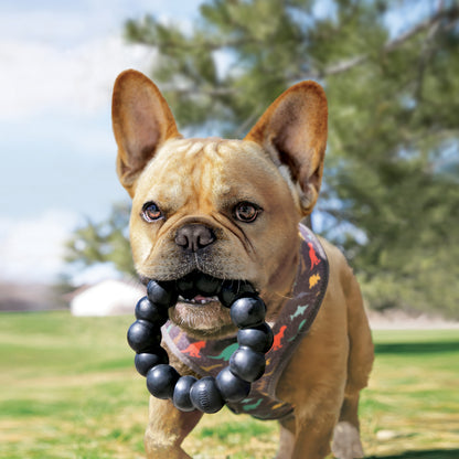 KONG Extreme Ring Dog Toy X-Large