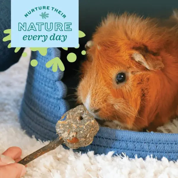 Oxbow Enriched Life Crazy Hay Ball Small Pet Toy